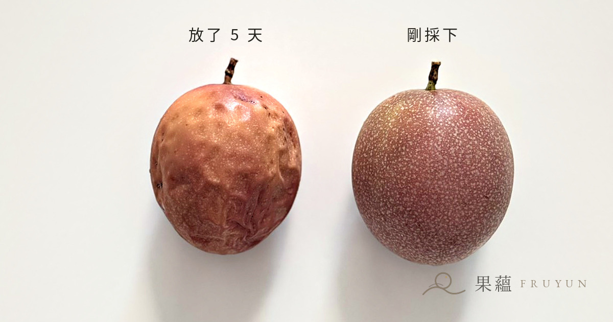 同一批藍星百香果,左為到貨第 0 天、右為常溫放置第 5 天,果皮出現皺褶